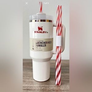 Limited Edition Stanley Mistletoe Twist Quencher H2.0 Flowstate Tumbler 40 OZ